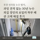 부천 성곡동 누수 탐지, 과잉 견적 없는 30년 누수 외길 장인의 보일러 하부 배관 크랙 해결 후기