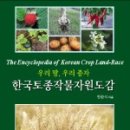 다래팜핑