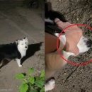 윙윙 - 전주시 완산구 솟대2길 2 | 윙윙