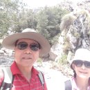 Palm Spring Aerial Tramway Park-16 Jul. 2017 이미지