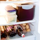 건강관리를 위한 냉장고 음식보관 노하우 이미지