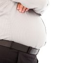 필라펠리스 이미지