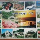 일흥민박 이미지