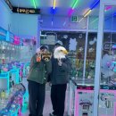 뽀꼬가냥 이미지