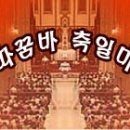 [축일미사(다해) 15-12-08] - 한국 교회의 수호자 원죄 없이 잉태되신 복되신 동정 마리아 대축일 이미지