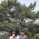 청수장 이미지