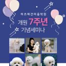 창원하츠애견미용학원 개원7주년 세미나 개최 강사:전우영(honeypetsalon)-포메 곰돌이컷,비숑컷,비숑귀분리컷 이미지