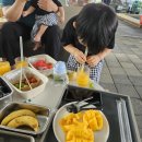 [대구 다하와 농장] 아이와 함께 가볼만한 곳 ! 팜크닉 열대작물 농장체험하기 (바나나 텃밭채소 수확...