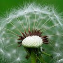 창조하는사람들