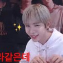노마스