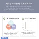 보리랑국수 이미지