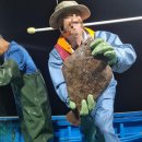 학교형태 | 강원 귀어 학교 수료 후기 (어업형태 &amp; 강릉 항구별 장단점)