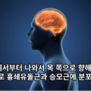 365경희길음한의원