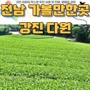 노아다원