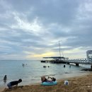 윤슬유치원 | 오아후 가볼 만한 곳: 아이와 와이키키 해수욕, 환상적인 선셋 &amp; 2025 연말 새해 불꽃놀이 명당 후기