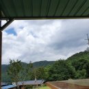 계림꽃농원 이미지