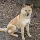 사옥축산 이미지