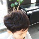 정희살롱 이미지