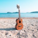 하와이 전통악기 우쿨렐레 이미지