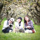 정이농장 이미지