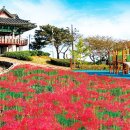 남산공원 이미지