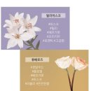 코지헤어 이미지