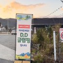 디디시스템 | 서울근교 글램핑 추천, 몸만 가도 되는 천안 글램핑 디디글램핑 (글램핑준비물)