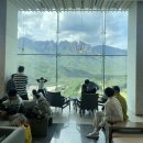 카페델피노 인근 이미지