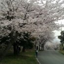 마산식당 이미지