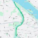 레이스 | 겨울왕국 레이스 2025 후기