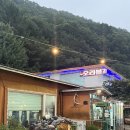 남이불고기 | 양산 대운산 계곡 맛집 은행나무집 오리불고기 내돈내산 후기