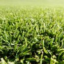 순천스크린 이미지