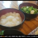 춘천소바 티스토리