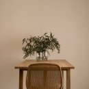 안나벨라 이미지