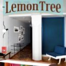 레몬트리 이미지