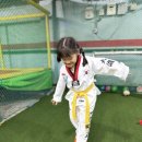 대호태권도 이미지