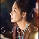 슈가커리어