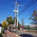 (주)거광 | 1박2일 뚜벅이 춘천가을여행: 둘이서 12만원
