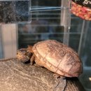 수완종합 동물병원 이미지