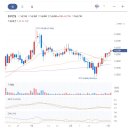 유한회사 프라임건설 이미지