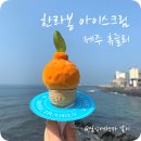 오예끄 | 제주 휴즐리 제주공항 근처 볼거리 카페