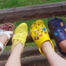 선아목장 이미지