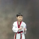 선우태권도 이미지