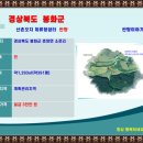 소로리 농장 이미지