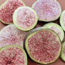 다우농장 이미지