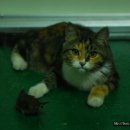 진숙농장 이미지