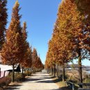 연천UN군 화장장시설 | 경기둘레길 10코스 임진강 가을 풍경