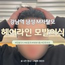 강남역 헤어라인모발이식 6~8개월 후기｜눈에 띄게 확실히 달라진 헤어라인 전후 비교
