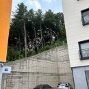 가평남이섬 블리스 풀빌라 펜션 이미지