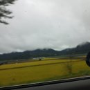 금산보건지소 이미지